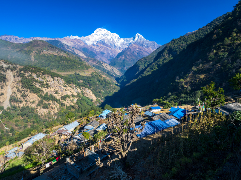 Hiking to the Himalayas Tour