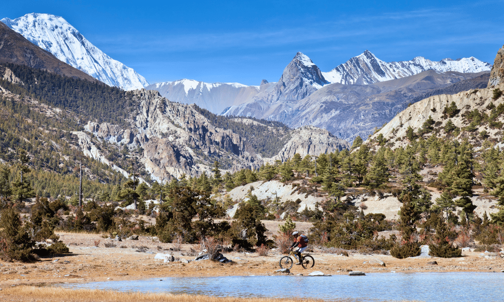 upper mustang mountain biking tour