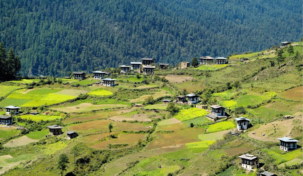 summer season in bhutan