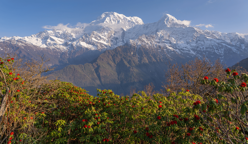 Mardi Himal Trek in Spring Season
