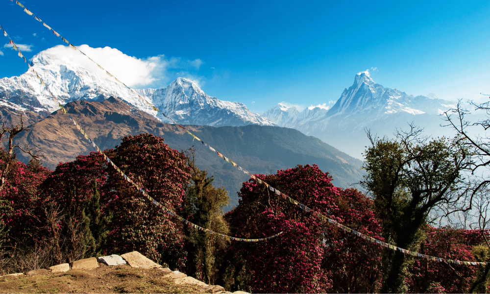 Nepal Trekking Preparation