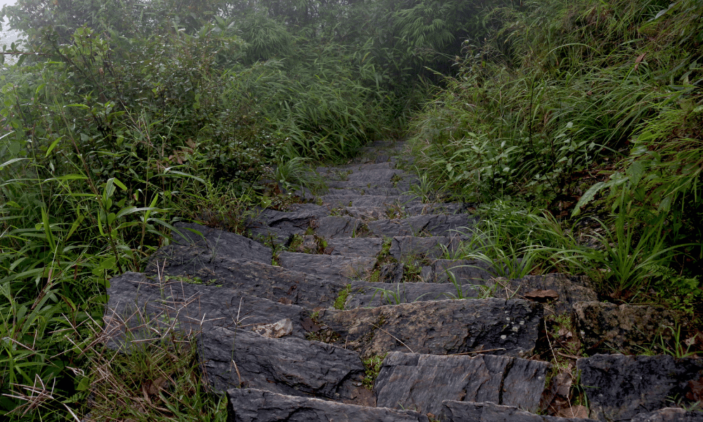 trekking route chandragiri