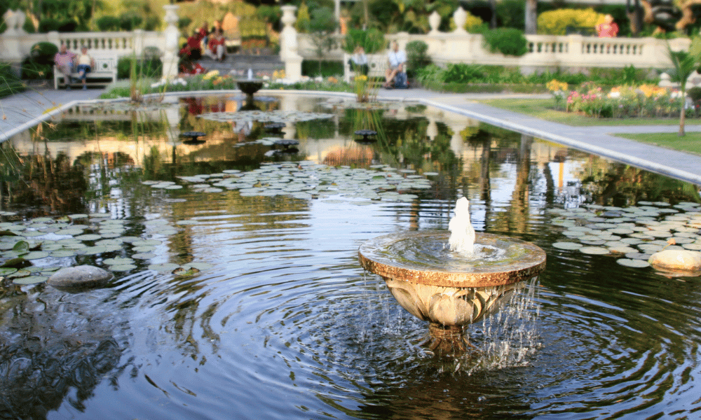 a fountain in garden of dreams