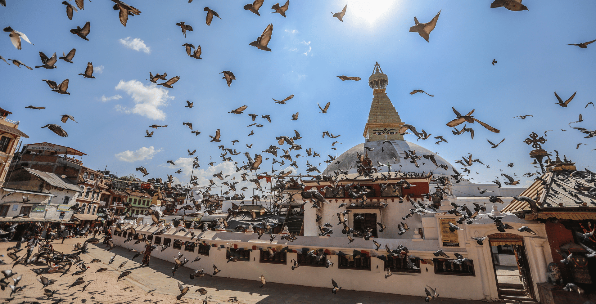 boudhanath stupa with many pigeons flying around it